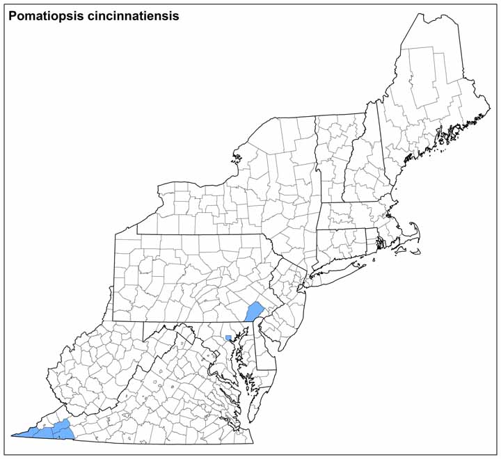 Pomatiopsis cincinnatiensis Range Map